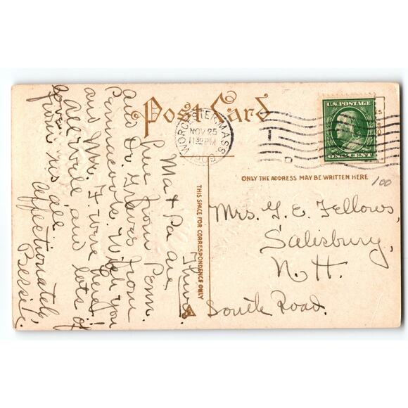 Vintage Thanksgiving Day Greetings Postcard with Turkey & Flowers 1908 - Picture 2 of 2